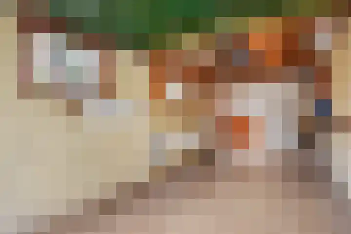 Wilhelminasingel 21 Pijnacker thumbnail 20