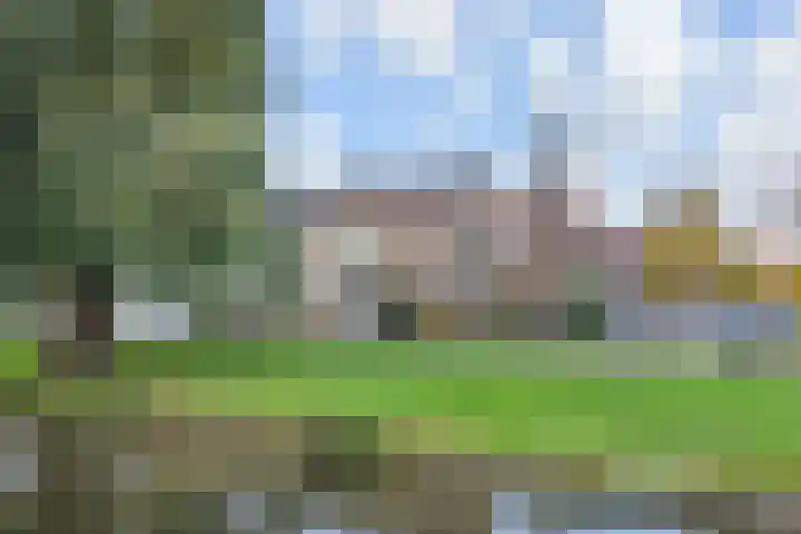Wilhelminasingel 21 Pijnacker thumbnail 25