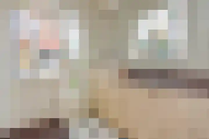 Wilhelminasingel 21 Pijnacker thumbnail 8