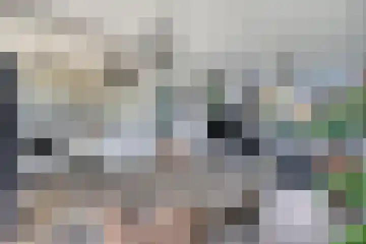 Wilhelminasingel 24 Pijnacker thumbnail 12