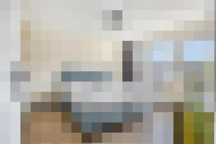 Wilhelminasingel 24 Pijnacker thumbnail 15