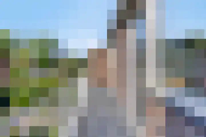 Wilhelminasingel 24 Pijnacker thumbnail 19