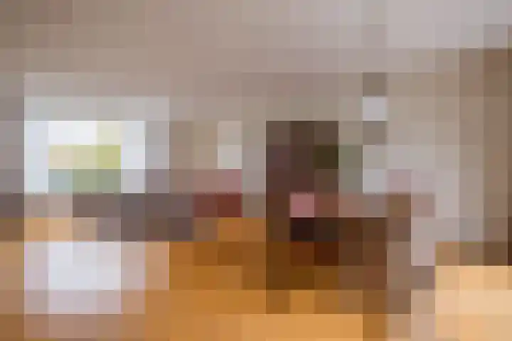 Wilhelminasingel 24 Pijnacker thumbnail 26