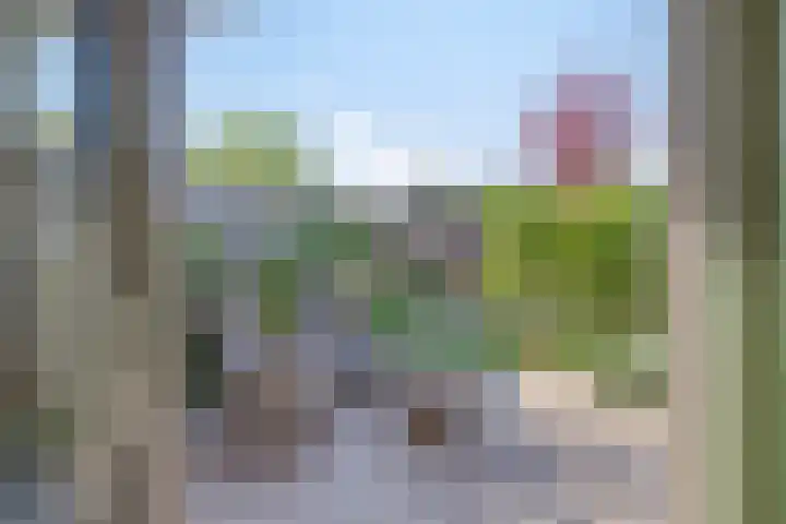 Wilhelminasingel 24 Pijnacker foto 3