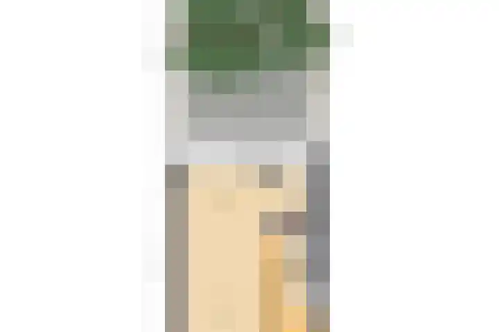Wilhelminasingel 24 Pijnacker thumbnail 37