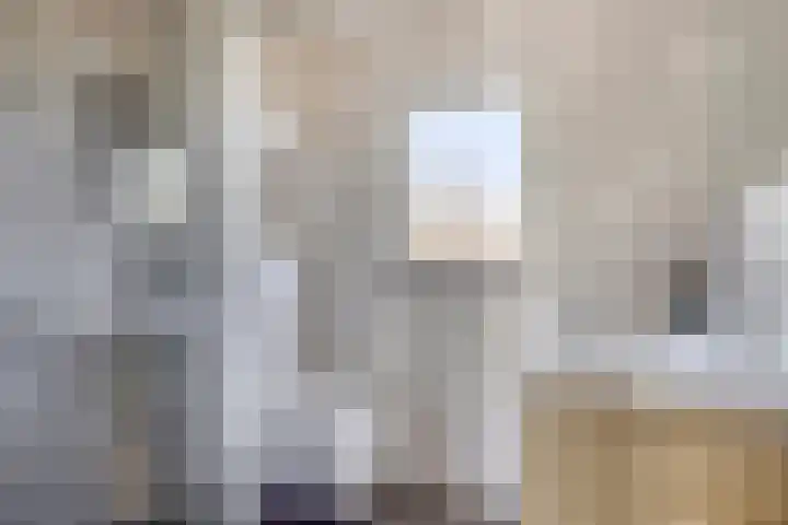 Wilhelminasingel 24 Pijnacker thumbnail 5