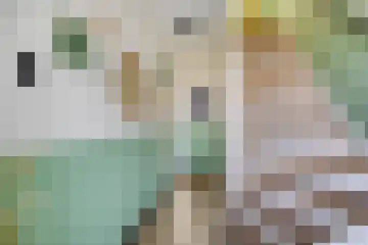 Wilhelminasingel 24 Pijnacker thumbnail 8
