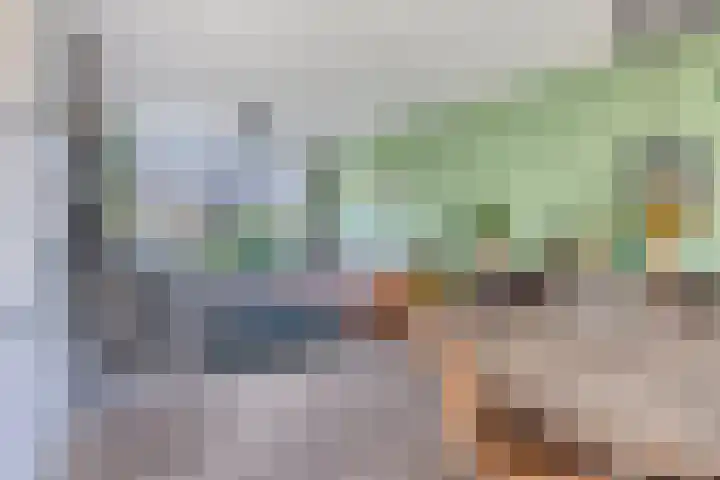 Wilhelminasingel 24 Pijnacker thumbnail 9