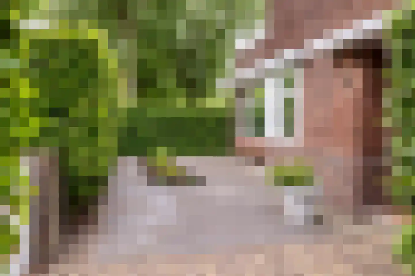 Wilhelminasingel 32 Breda thumbnail 10