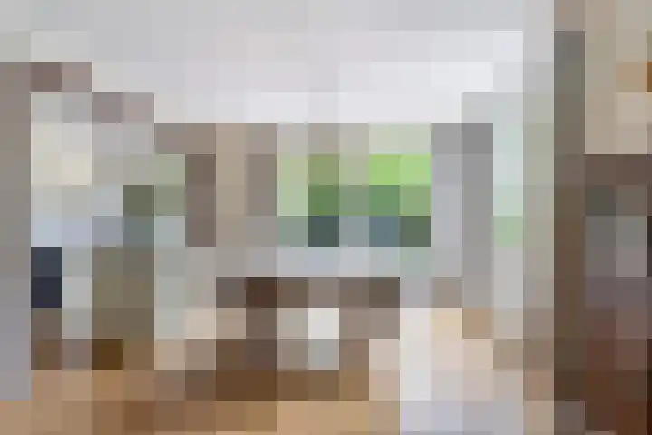 Wilhelminasingel 46 Vlaardingen thumbnail 13