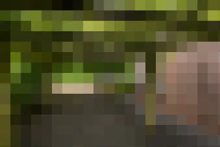 Wilhelminasingel 46 Vlaardingen thumbnail 18
