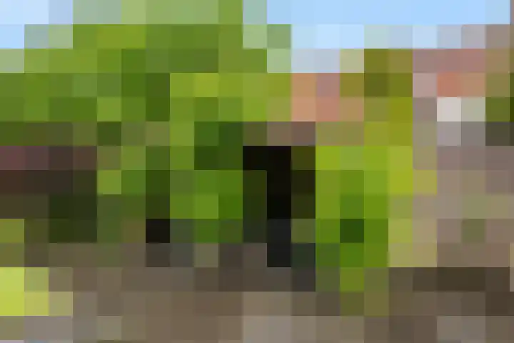 Wilhelminasingel 46 Vlaardingen thumbnail 22