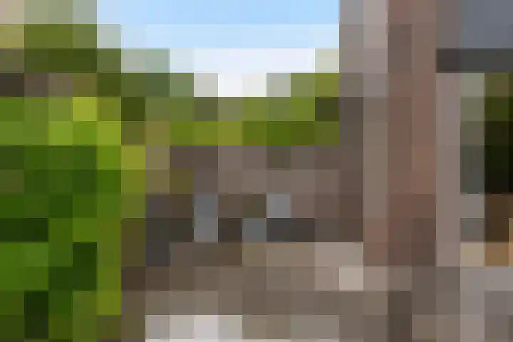 Wilhelminasingel 46 Vlaardingen thumbnail 27