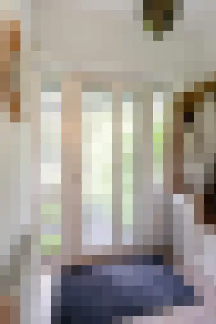 Wilhelminasingel 46 Vlaardingen thumbnail 5