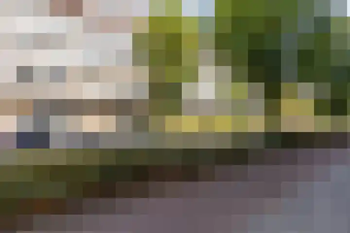 Wilhelminastraat 13 5 dans Sittard