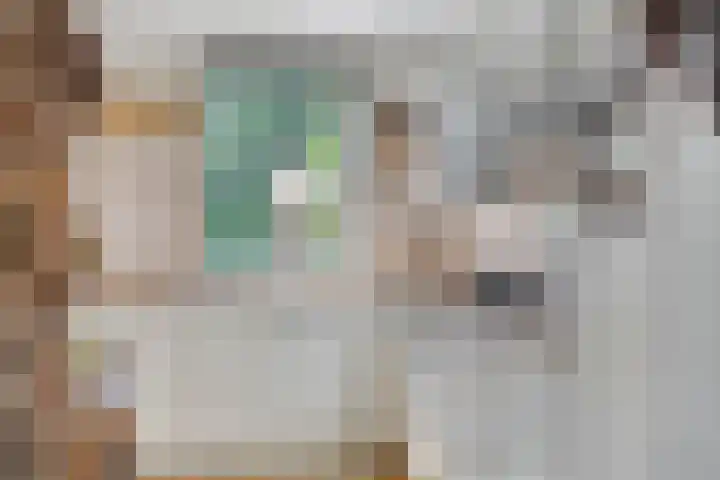Wilhelminastraat 21 Made thumbnail 15