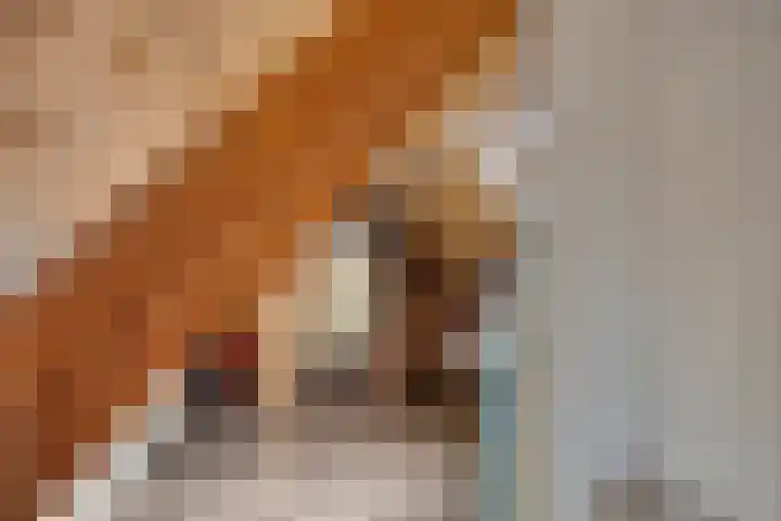 Wilhelminastraat 21 Made thumbnail 36