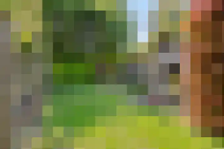 Wilhelminastraat 21 Made thumbnail 42