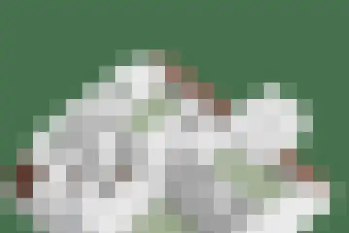 Wilhelminastraat 21 Made thumbnail 51