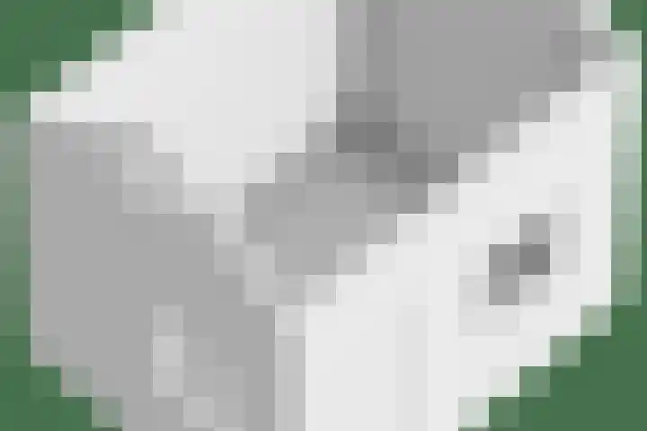 Wilhelminastraat 21 Made thumbnail 53