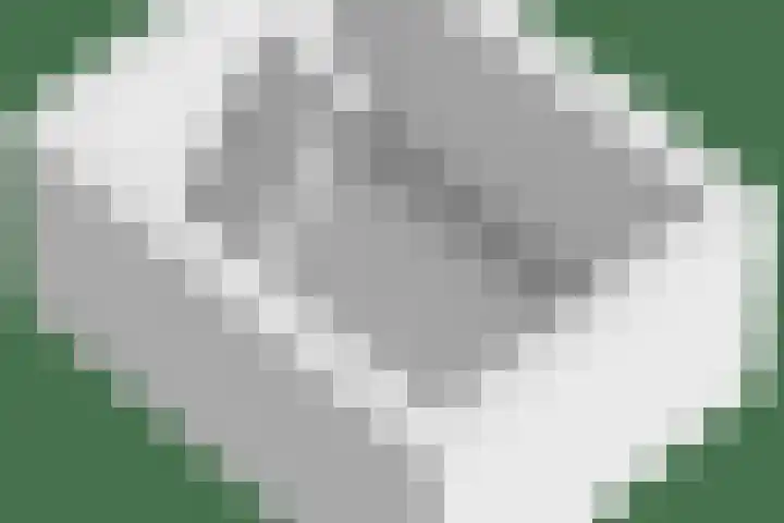 Wilhelminastraat 21 Made thumbnail 54