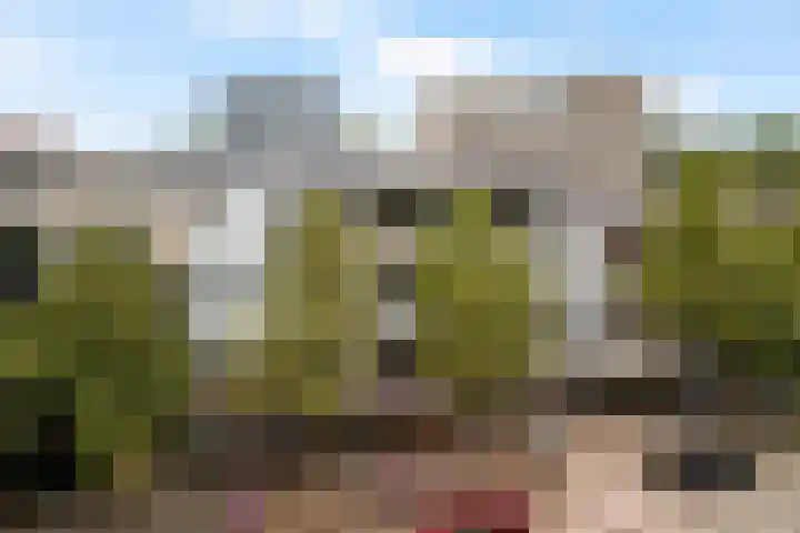 Wilhelminastraat 49 G in Emmen