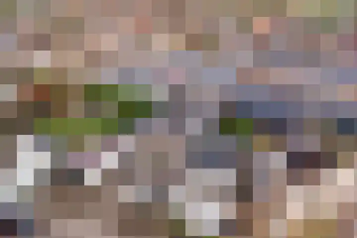 Wilhelminastraat 8 Made thumbnail 102