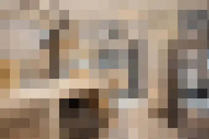 Wilhelminastraat 8 Made thumbnail 22