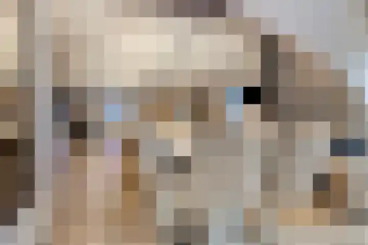 Wilhelminastraat 8 Made thumbnail 28