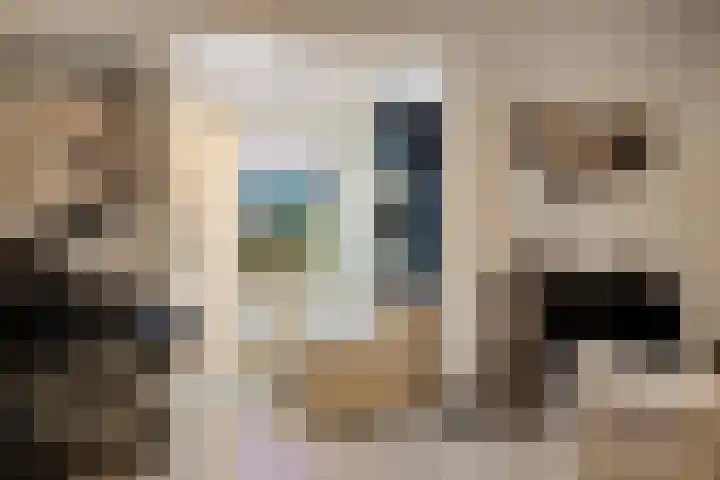 Wilhelminastraat 8 Made thumbnail 30