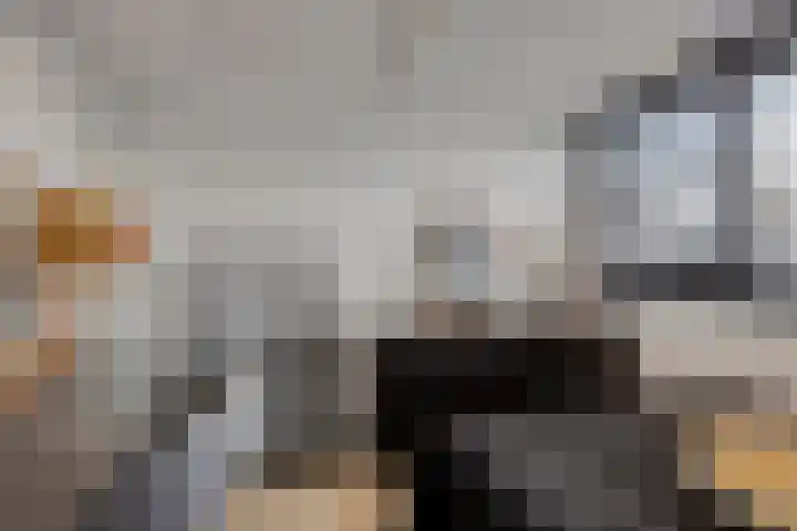 Wilhelminastraat 8 Made thumbnail 52