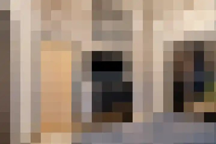 Wilhelminastraat 8 Made thumbnail 57