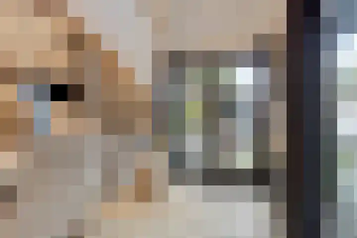 Wilhelminastraat 8 Made thumbnail 71