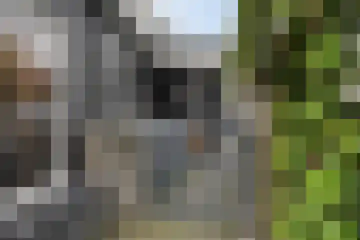 Wilhelminastraat 8 Made thumbnail 75