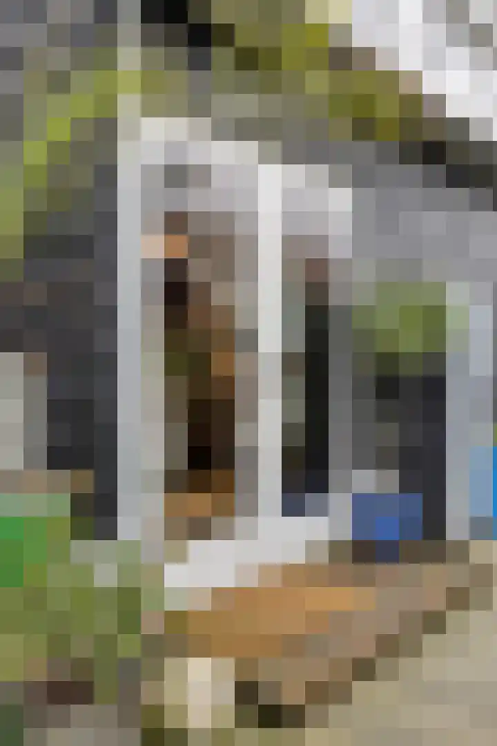 Wilhelminastraat 8 Made thumbnail 90