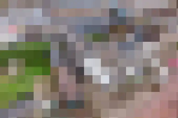 Wilhelminastraat 8 Made thumbnail 98