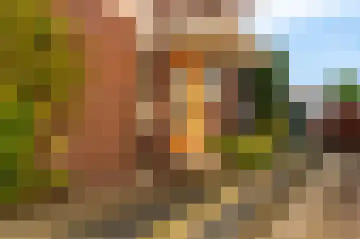Wilhelminaweg 3 Appingedam thumbnail 14