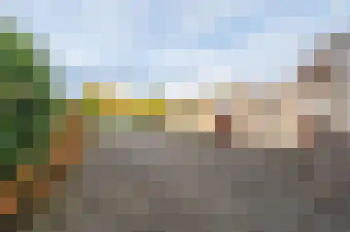 Wilhelminaweg 3 Appingedam thumbnail 17