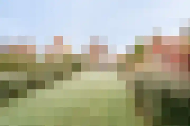 Wilhelminaweg 3 Appingedam thumbnail 20