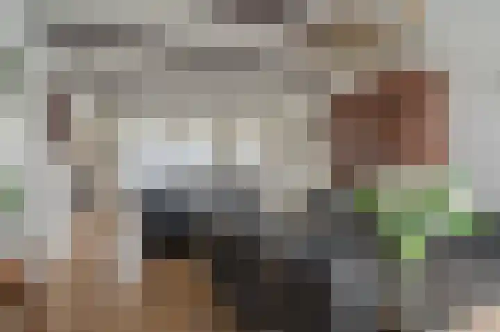 Wilhelminaweg 3 Appingedam thumbnail 34