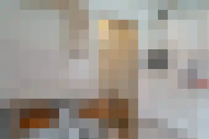 Wilhelminaweg 3 Appingedam thumbnail 39
