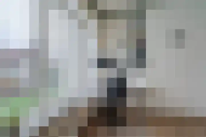 Wilhelminaweg 3 Appingedam thumbnail 41