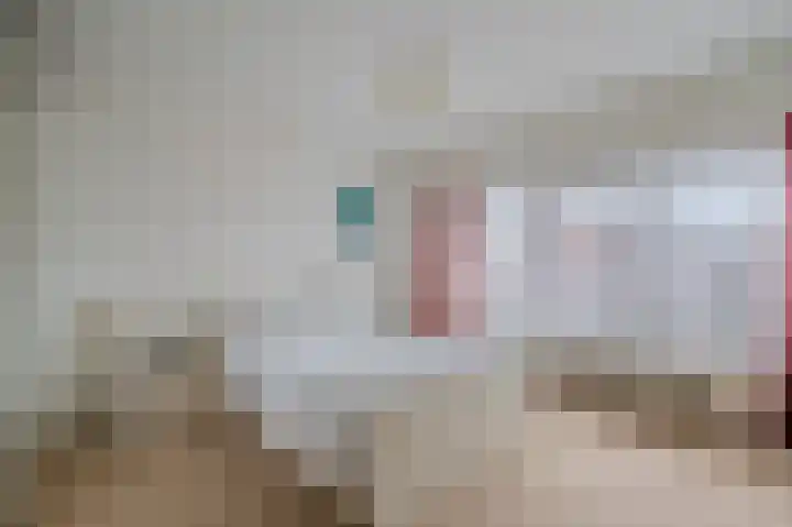 Wilhelminaweg 3 Appingedam thumbnail 49