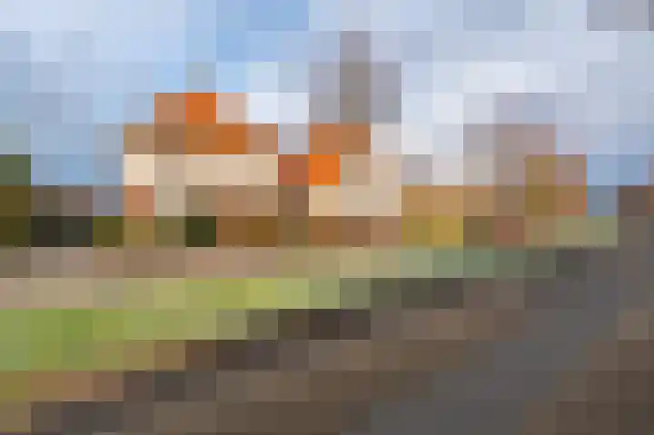 Wilhelminaweg 3 Appingedam thumbnail 7