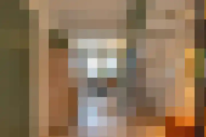 Wilkemaheerd 56 Groningen thumbnail 13