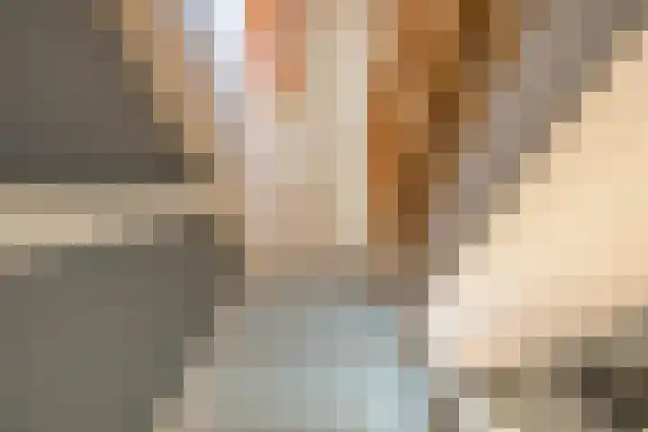 Wilkemaheerd 56 Groningen thumbnail 32