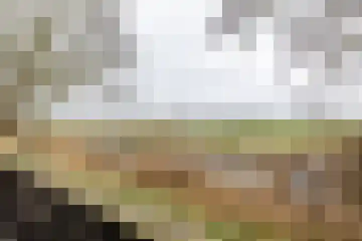 Wilkemaheerd 56 Groningen thumbnail 39