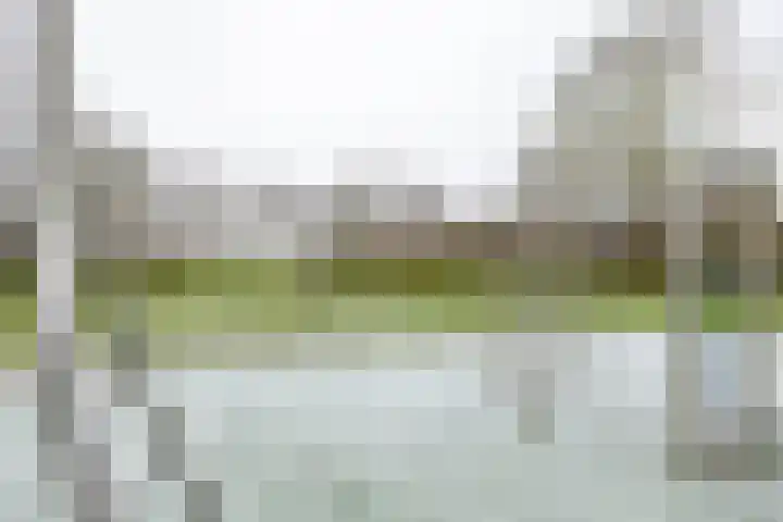 Wilkemaheerd 56 Groningen thumbnail 41