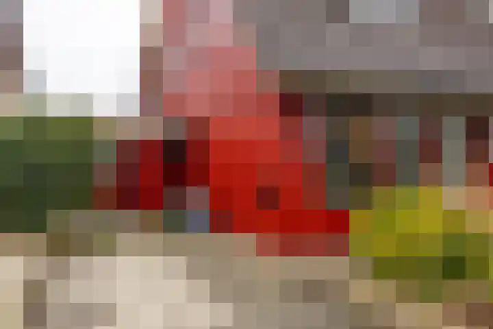 Wilkemaheerd 56 Groningen thumbnail 5