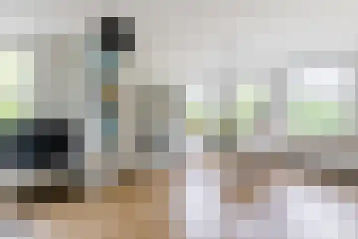 Willem de Zwijgerlaan 207 3 dans Amsterdam